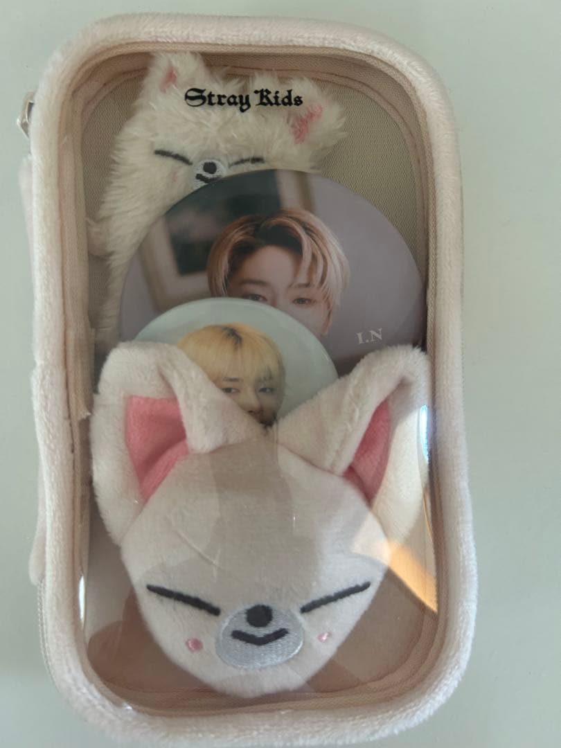 

[Б/У] Подставка акриловая StrayKids Чехол Ien FoxI.Ny