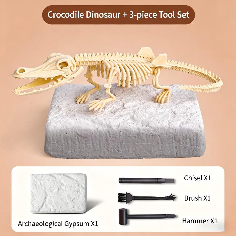 Kids Dinosaur Fossil Dig Kit 3D Skeleton Model Educational Science Toy Hands On Learning STEM Dinosaur Excavation Set B