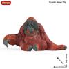 Oenux  Wild Animals Forest Orangutan Pigeon Hedgehog Aardvark Capybara Action Figure Model Figurines Pvc Collection Kids Toy