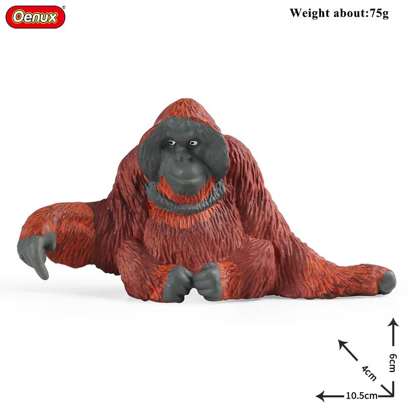 Oenux  Wild Animals Forest Orangutan Pigeon Hedgehog Aardvark Capybara Action Figure Model Figurines Pvc Collection Kids Toy