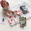 New Fruit Pattern Floral Narrow Korean Version Small Silk Scarf for Women's Decorative Scarf with Long Streamers and Kissing Small Scarf