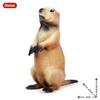 Oenux Simulation Wild Muroid Animal Squirre Mouse Sugar Glider lMarmot Rat Chinchilla Model Action Figures Lovely PVC Kids Toy