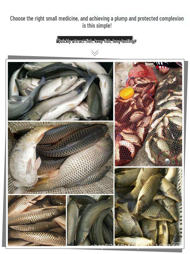Sweet Corn Fish Bait Attractant for Crucian, Carp, and Grass Carp Wild Fishing