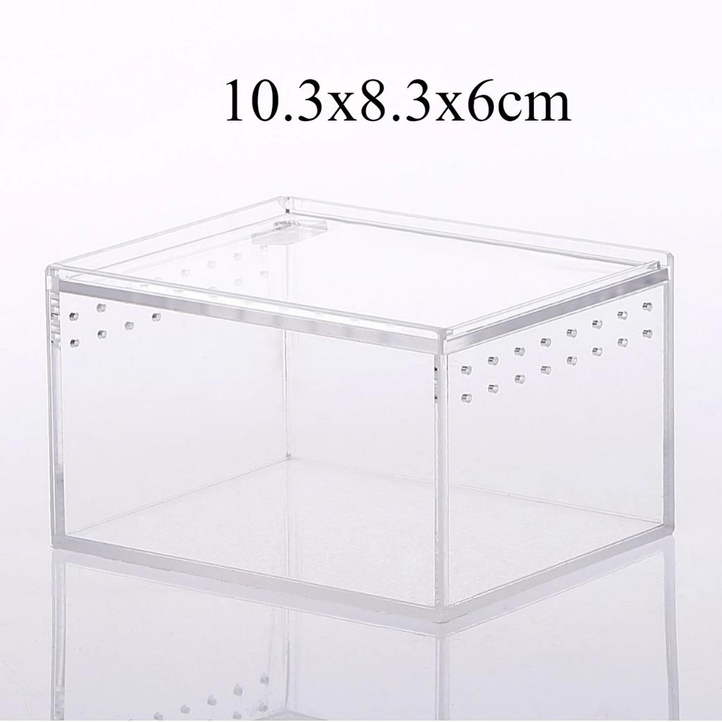 Transparent Acrylic Reptiles Breeding Box Spider Lizard Amphibian Terrarium Leak-proof Pets Habitat Arboreal Tarantula Enclosure