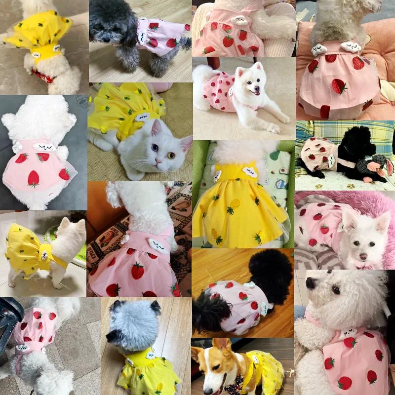 Dog Dress for Small Dogs Luxury Dog Clothes Chihuahua French Bulldog Bichon Dog Costume Pet Clothing Pet Vest Puppy Skirt