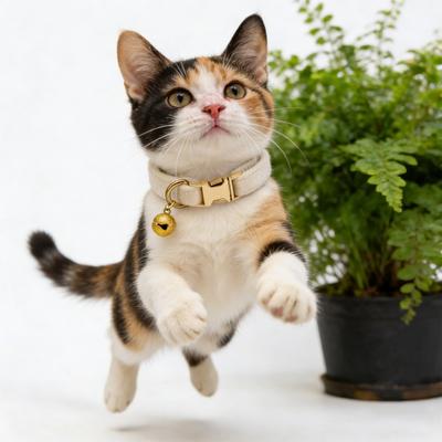 Ayarlanabilir Kedi Tasması Yumuşak Evcil Hayvan Tasması Çıkarılabilir Çan ile Düz Renk Küçük Köpekler Kediler Yavru Kedi Dış Mekan Yürüyüşleri İçin Evcil Hayvan Tasması Güvenlik