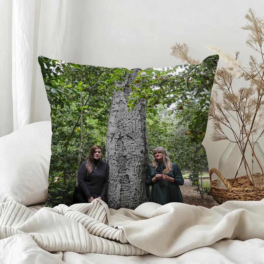 JJulianna Barwick  Mary Lattimore Music Pillow Case Bedroom Sofa Living Room Backrest Decoration Square Cushion Nap Time