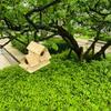 Holz Vogelhaus Outdoor Papageienhaus Wetterfest Vogelfutterspender Ländlich Gestaltet Garten Dekoration Brutkasten Wachtelkäfig Spielzeug