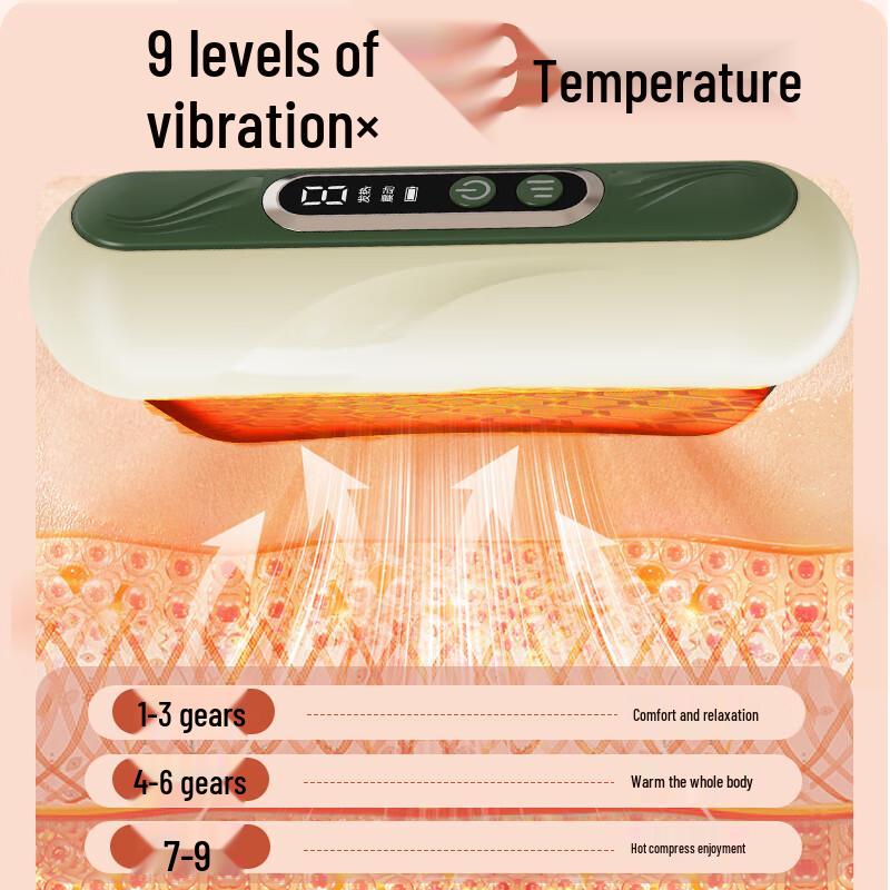 Hezheng Electric Bian Stone Gua Sha Massager