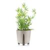 Donica Moss Eco Coffee Latte 30Xh28 Cm