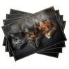 Dunkles Vintage Maine Coon Katze Porträt Druck Rechteckige Platzsets Set Haustierliebhaber Esstisch Dekor Matten 4er-Set 6er-Set 8er-Set Optional