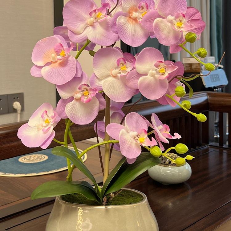 Flori Artificiale Phalaenopsis în Vas Ceramic - Ideal pentru Decorarea Sufrageriei sau a Mesei de Dining