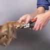 Professional Pet Nail Clippers for Dogs And Cats - Grooming Trimmers for Small to Large Breeds - Pet Claw Care Grooming Supplies