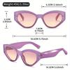 Cat Eye Style Fashion Sunglasses in Jelly Color Frame, Composite Material with Metal Hinges, PC Lenses, Decorative Eyewear