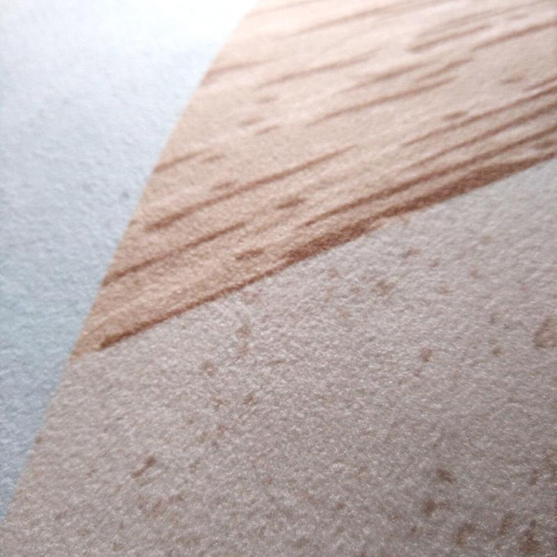 Geometric Bedroom Living Room Carpet Short Velvet Print Anti Slip Lobby Floor Mat Carpet