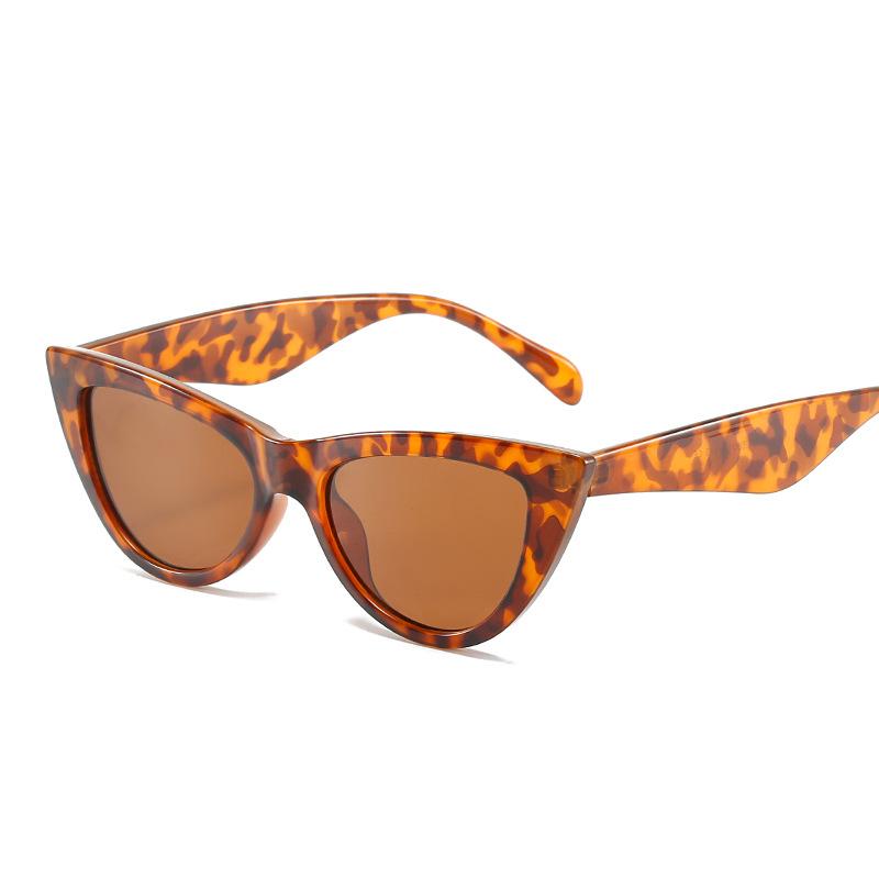 Cat Eye Sunglasses Women Travel Photo Sunglasses Trendy Glasses Sunglasses