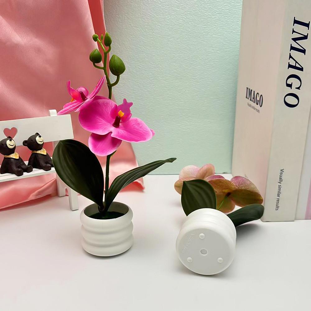 Flower Phalaenopsis Potted For Event Decor And Indoor Home Embellishment