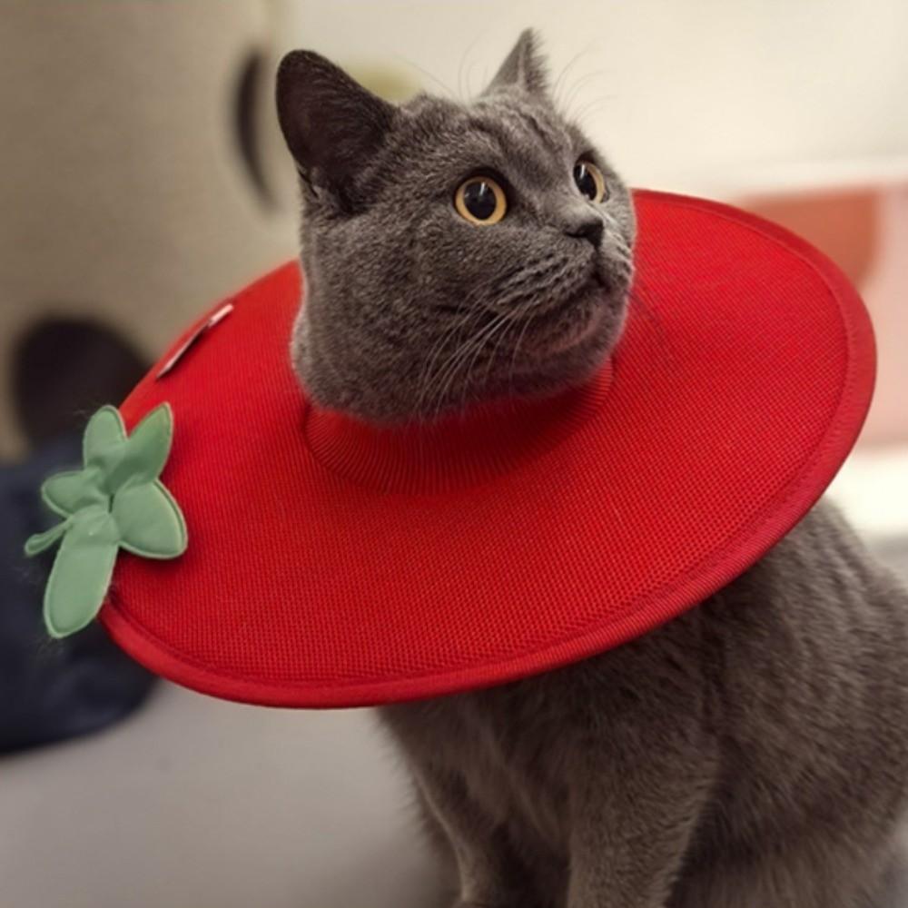 Soft Fruit Shape Kitty Recovery Collar Anti-licking Cute Cat Elizabethan Collar Anti-biting Creative Dog Protective Neck Cone