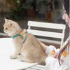 Pet Vest Harness with Leash Breathable Adjustable Reflective No Pull Escape-proof Small Dog Puppy Cat Chest Harness Pet Supplies