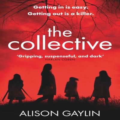 The Collective by Alison Gaylin Paperback Book 9781409179085