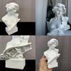 European Style Aphrodite Head Resin Art Sculpture For Home Decor And Artistic Display