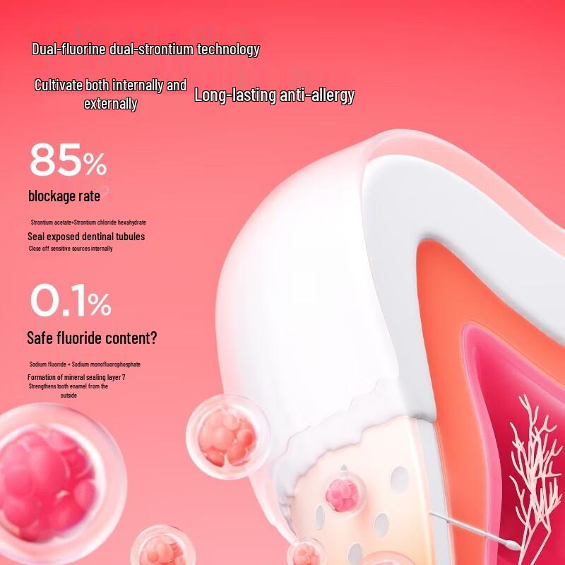 Canban Guaiac Wood Probiotic Toothpaste