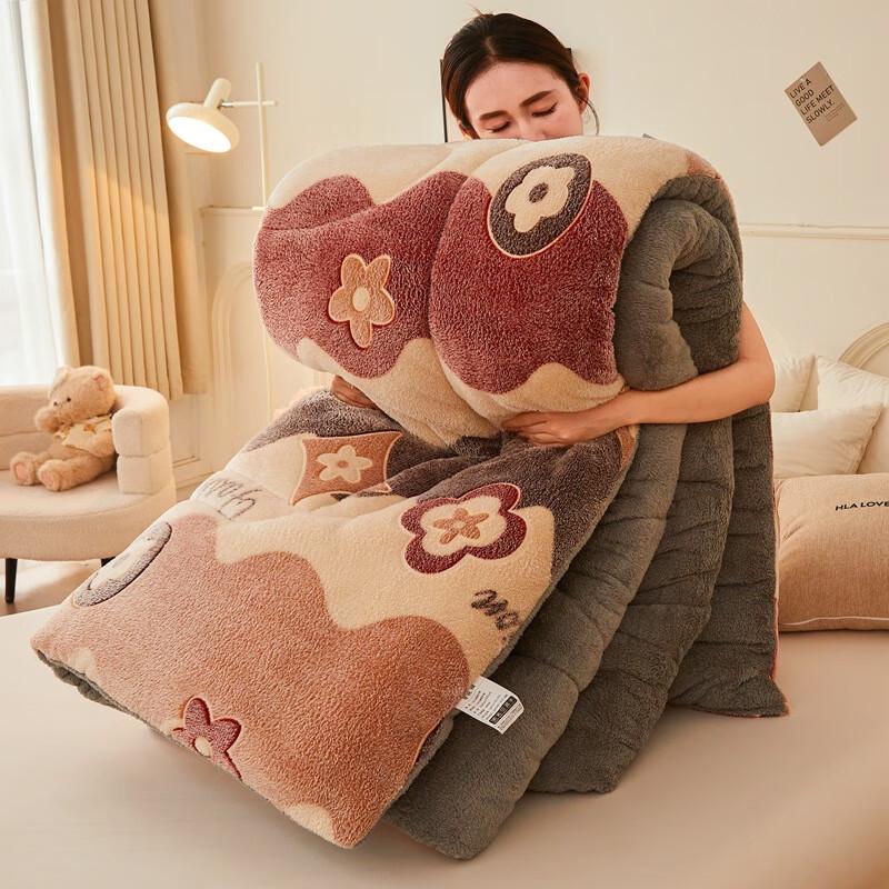 Yuanzhiwei Double-Sided Milk Velvet Warm Quilt