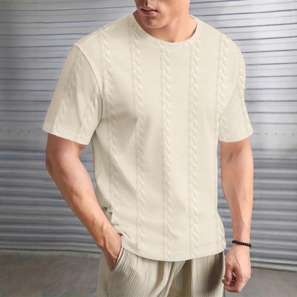 Herren Sommer Einfarbig Gedreht Sommer Lässig Rundhals Pullover Kurzarm T-Shirt Tops