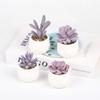 Purple Fake Succulent Potted Plant Simulation Succulent Plant Mini Fake Flower Small Bonsai Store Decoration Home Decoration