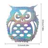 Owl Bird Repeller Tape Reflective Anti Bird Sticker Bird Deterrents Reflective Sticker For Garden Courtyard  Woodpecker Device