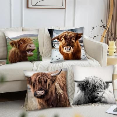 Highland Cattle Pillow Case Fashion Square Pillowcase Bedroom Sofa Room Ins Decoration Leisure Cushion Cover 40x40