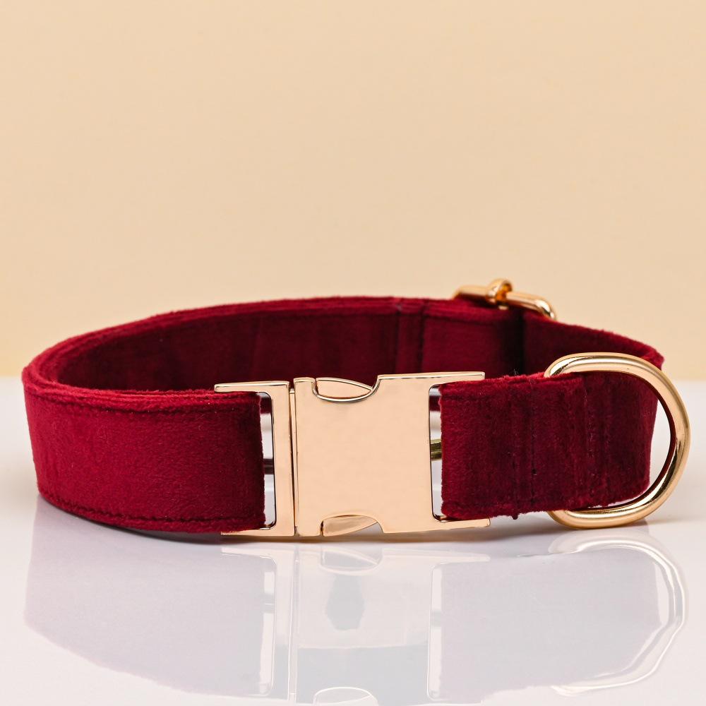 Ensemble collier et laisse pour chien en velours gravé avec boucle métallique réglable