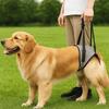 Adjustable Pet Rear Leg Support Comfortable Dog Back Leg Sling  Joint Injuries