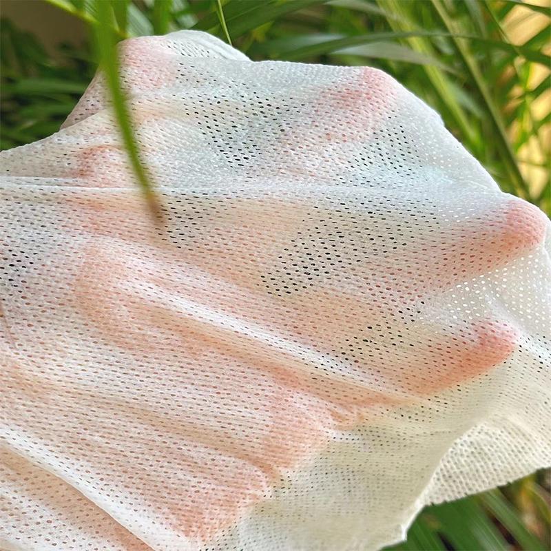 100/50PCS Compressed Towel Portable Disposable Coin Tissue Soft Odorles Water Uptake Mini Towel Cleaning Makeup Removal Tissue