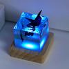 Marine Whale Cube Ornament with Light Whale Diver Ocean Decoration Beluga Killer Whale Megalodon for Desktop Bookshelf