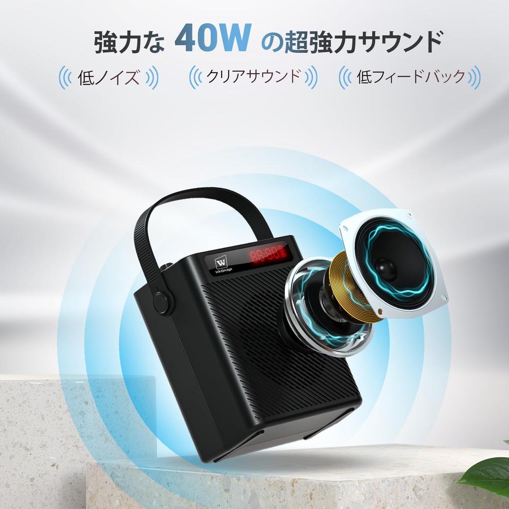 Przenośny system głośnikowy WinBridge S95 z 40W PA i mikrofonem ręcznym dla dwóch jednoczesnych kart muzycznych Idealny na ulicę na zewnątrz małe i spotkania