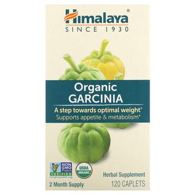 Organic Garcinia, 120 Tablets
