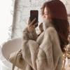 Korean Version, Faux Fur Jacket, Women, Autumn and Winter, Loose Fit, Faux Otter and Rabbit Fur, Thickened with Plush, Stand Up Collar, Zipper Hoodie