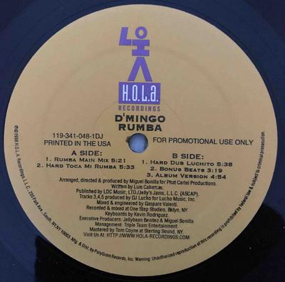 12-Zoll Schallplatte D'MINGO - Rumba 1193410481DJPRO H.O.L.A. Schallplatte 1998 US Latin Gebraucht