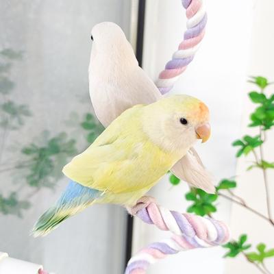Non-slip DIY Bendable Perch for Birds Comfortable Grip Parrot Standing Perch  Cage Enrichment