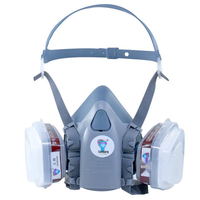 Brangdy 830D Filtered Gas Mask Kit