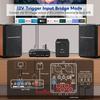 AIYIMA A70 Balanced Stereo Amplifier, TPA3255 2-Channel Class D Amp, with DC48V 5A Power Adapter