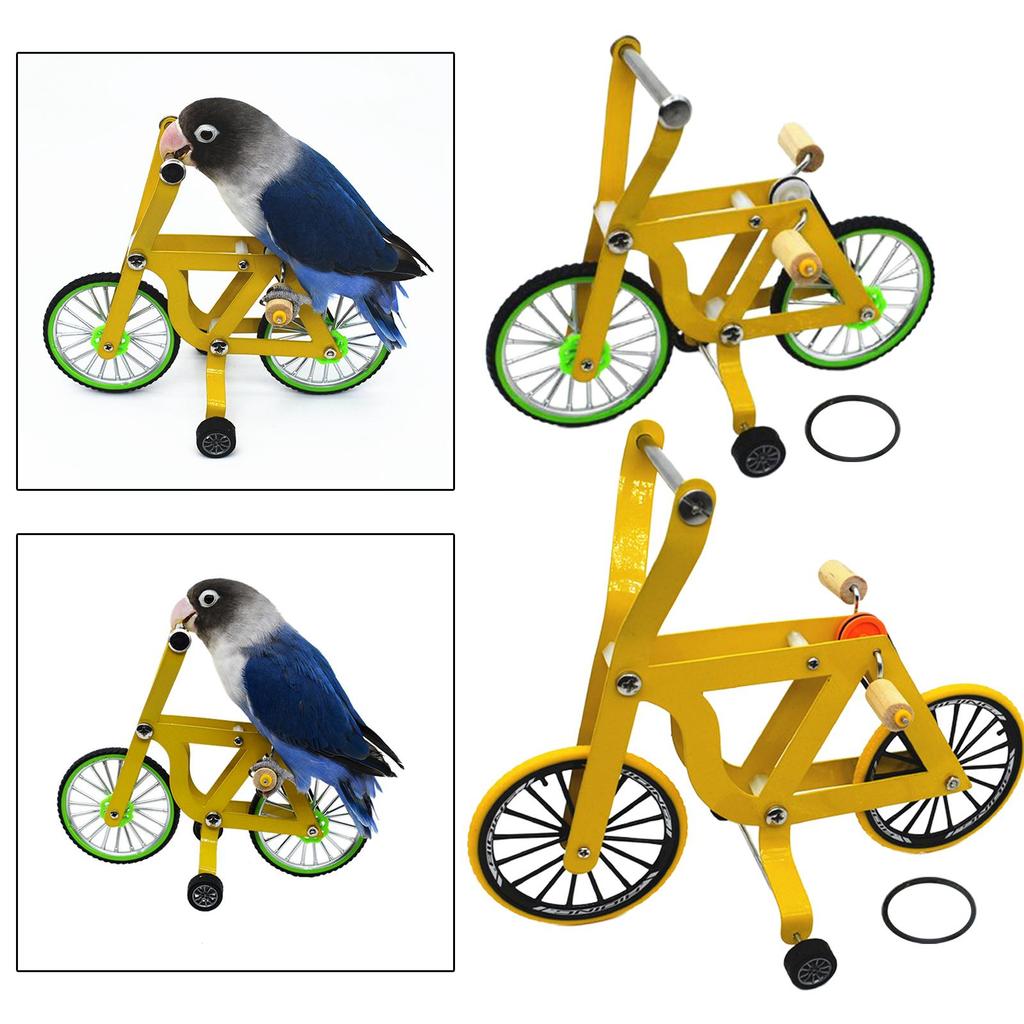 Bird Training Toy Training Supplies Parrot Puzzle Bicycle for Parakeet