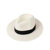Panama straw hat women's summer sun protection visor men's summer seaside big brim sun hat travel team building beach hat