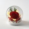 Eternal Flower Spherical Glass Cover Rose Dried Flower with Lamp Base Yunnan Commemorative Real Flower Simulation Art Floral Art