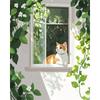 Ölgemälde-Paket DIY Malen nach Zahlen Basteln für Erwachsene Fenster Katzen Bild Ausmalen Nummer Zeichnung auf Leinwand Heimdekoration