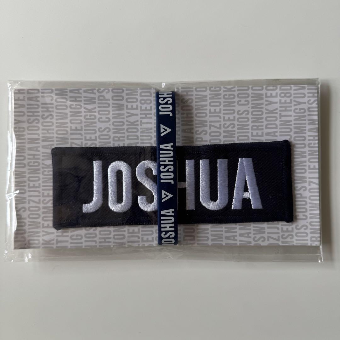 

[USED] SEVENTEEN Say the Name Name Patch Joshua