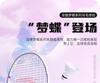 ANTA Badminton Racket Set