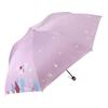 Paradise Umbrella Sun Umbrella Women's UV-Proof Umbrella Lightweight Dual-Use Umbrella Foldable Vinyl Sun Protective Fresh