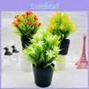Spring Grass Orchid Miniature Plastic Indoor Garden Decor For Hotel Windows Display
